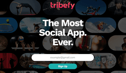 Tribefy logo